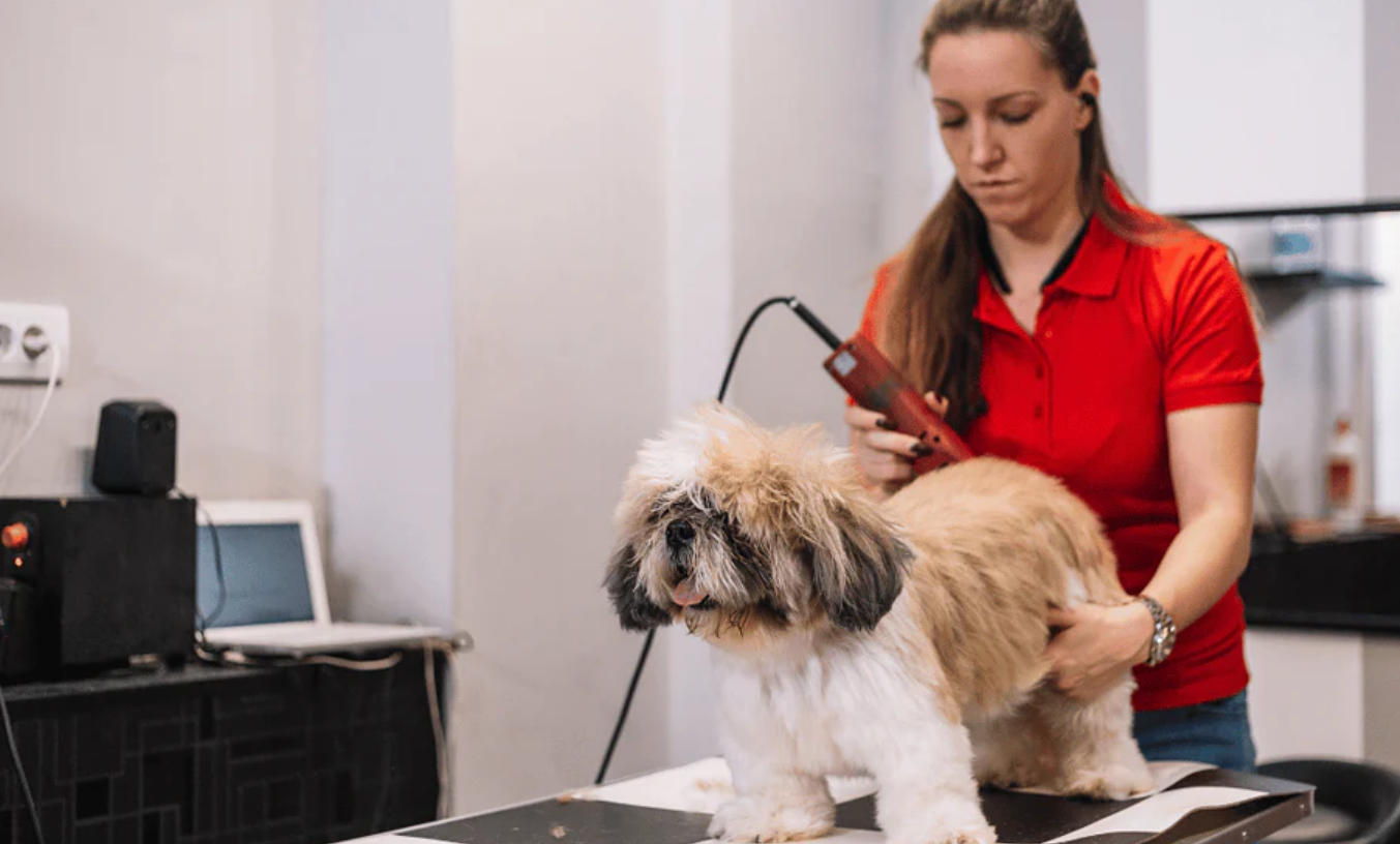 Pet Clippers vs Human Clippers Key Differences Every Pet Owner Should Know